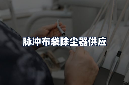 脉冲布袋除尘器供应